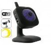 IP Cameras