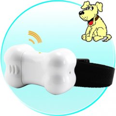 Mini Collar Gadget