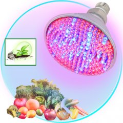 LED Light