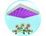 LED Grow Light